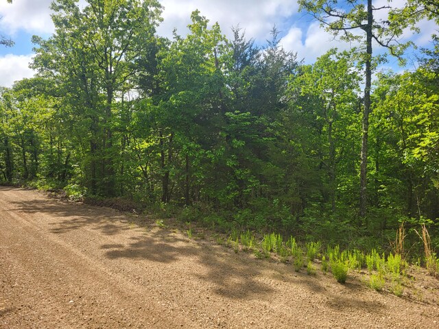000 County Road 511, Gainesville, MO 65655 - photo 12