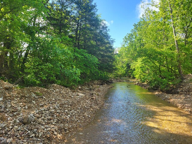 000 County Road 511, Gainesville, MO 65655 - photo 2