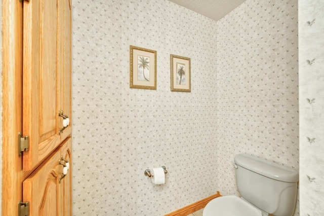 9169 W Farm Road 60, Willard, MO 65781 - half bath featuring toilet and wallpapered walls