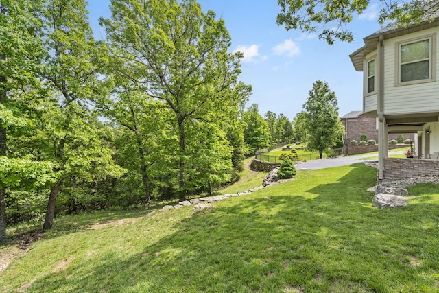 122 Arabian Way, Saddlebrooke, MO 65630 - view of grassy yard with a carport