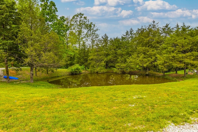 4216 Skyline Rd, Seymour, MO 65746 - view of grassy yard featuring a water view