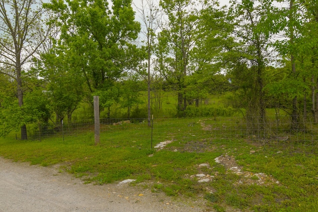 4216 Skyline Rd, Seymour, MO 65746 - view of yard with fence