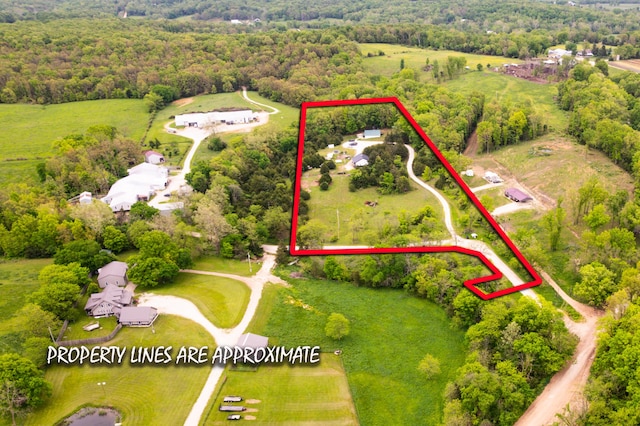 4216 Skyline Rd, Seymour, MO 65746 - aerial view of property's location featuring property parcel outlined and a heavily wooded area
