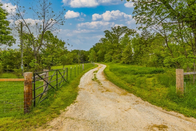 4216 Skyline Rd, Seymour, MO 65746 - view of street with a view of trees