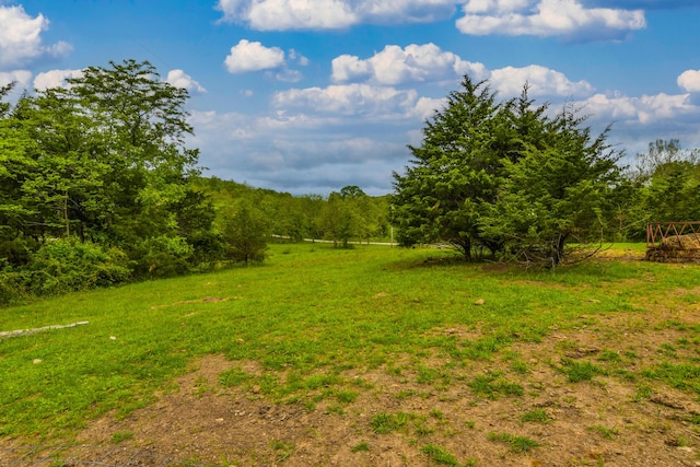 4216 Skyline Rd, Seymour, MO 65746 - view of yard featuring a wooded view