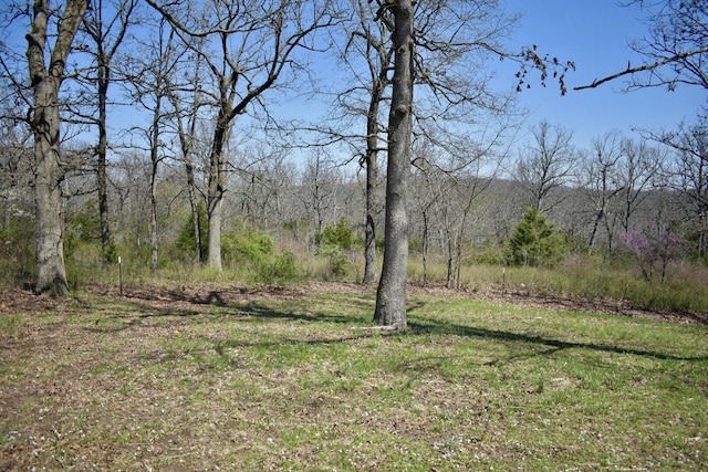 70 Dallion Ford Ln, Buffalo, MO 65622 - view of tree filled area