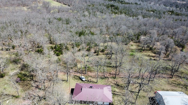 70 Dallion Ford Ln, Buffalo, MO 65622 - view of subject property featuring a forest