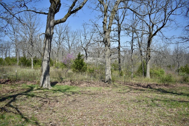 70 Dallion Ford Ln, Buffalo, MO 65622 - view of undeveloped land