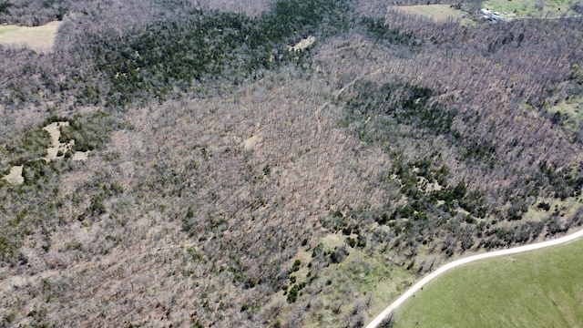 70 Dallion Ford Ln, Buffalo, MO 65622 - aerial view of property and surrounding area