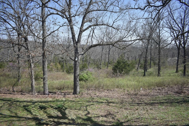 70 Dallion Ford Ln, Buffalo, MO 65622 - view of tree filled area