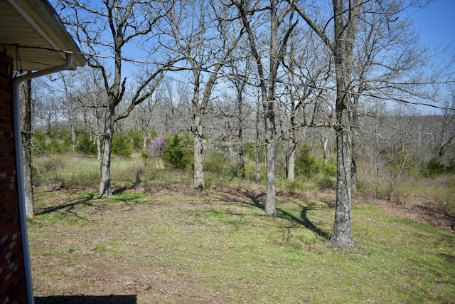 70 Dallion Ford Ln, Buffalo, MO 65622 - view of yard with a view of trees