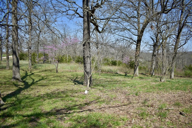 70 Dallion Ford Ln, Buffalo, MO 65622 - view of green lawn