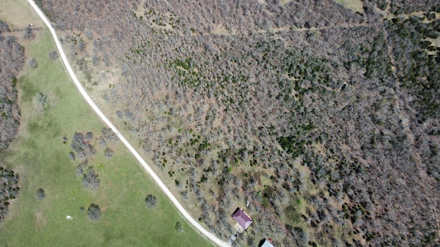 70 Dallion Ford Ln, Buffalo, MO 65622 - view of property location