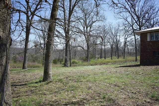 70 Dallion Ford Ln, Buffalo, MO 65622 - view of yard with a wooded view