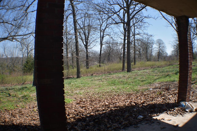 70 Dallion Ford Ln, Buffalo, MO 65622 - view of yard