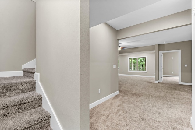 311 Stillwood Dr, Branson, MO 65616 - staircase featuring carpet, a ceiling fan, and baseboards