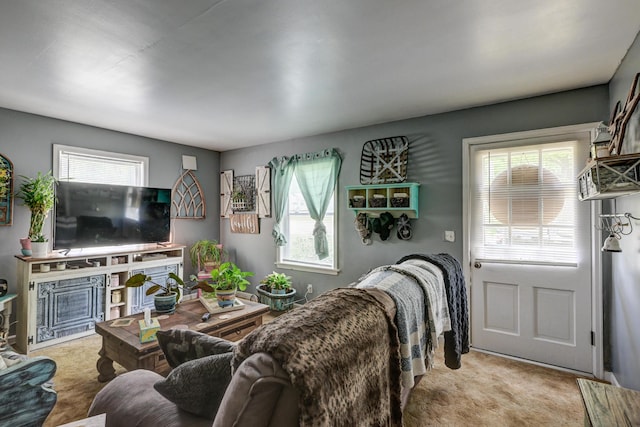 817 Kentland Dr, Neosho, MO 64850 - carpeted living area with a fireplace