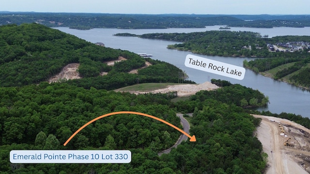 000 Emerald, Pointe Hollister, MO 65672
