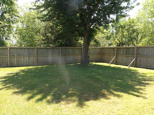 420 Maple St, Granby, MO 64844 - view of yard