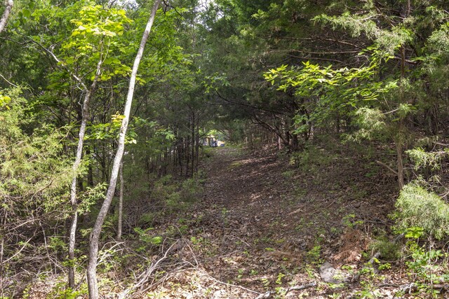 21 Paola Ln, Kimberling City, MO 65686