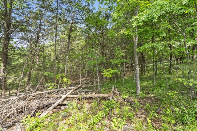 21 Paola Ln, Kimberling City, MO 65686