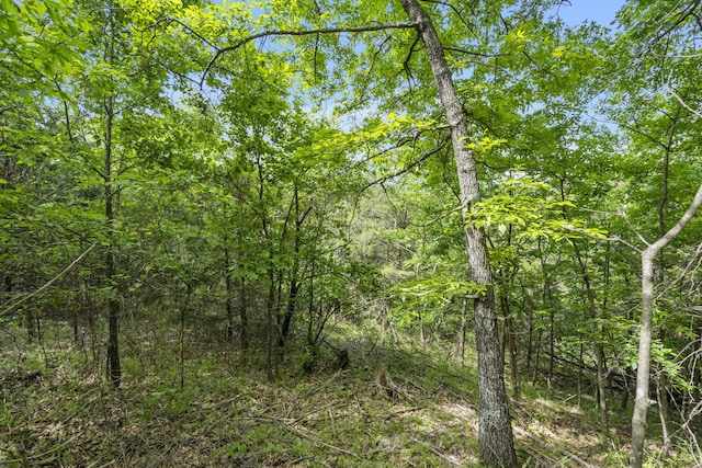 21 Paola Ln, Kimberling City, MO 65686