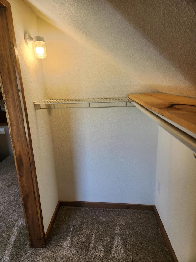walk in closet featuring carpet flooring and vaulted ceiling