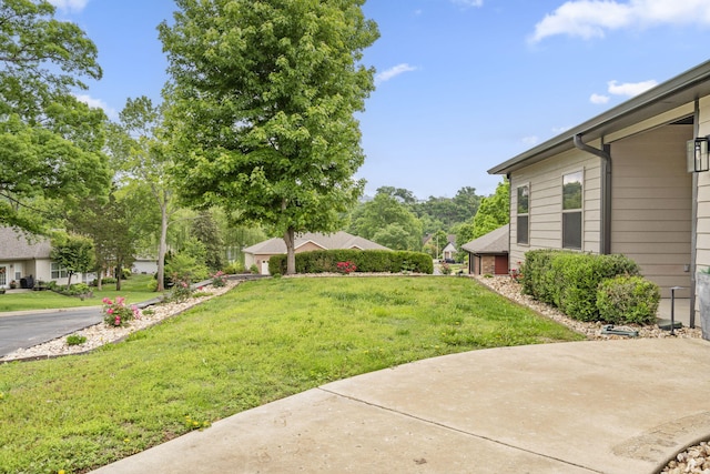 1970 Pointe Royale Dr, Branson, MO 65616 - view of green lawn