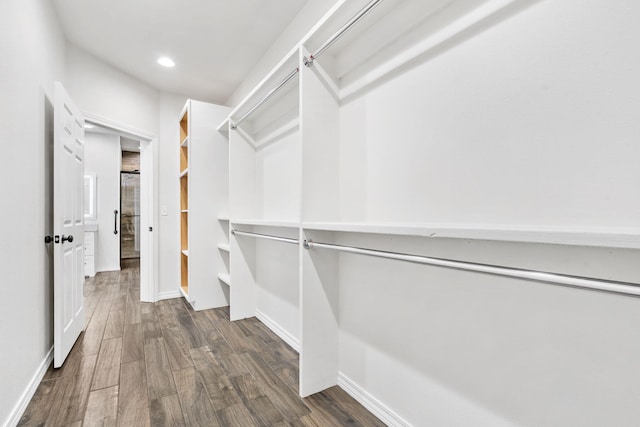 1970 Pointe Royale Dr, Branson, MO 65616 - spacious closet with dark wood-style floors