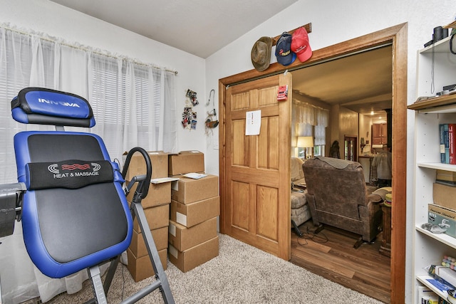 office featuring wood finished floors