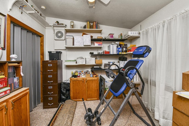 storage featuring ceiling fan