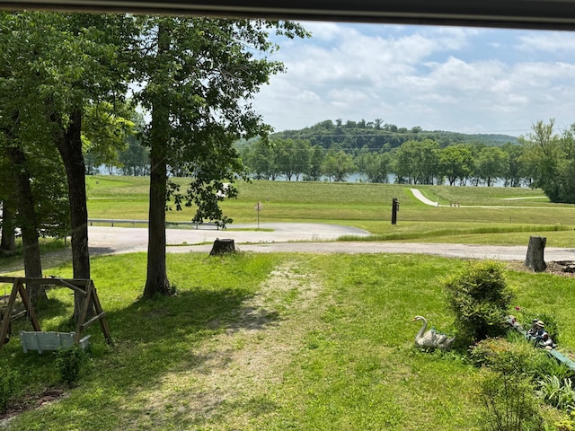 2723 State Highway Y, Forsyth, MO 65653 - view of property's community with a yard