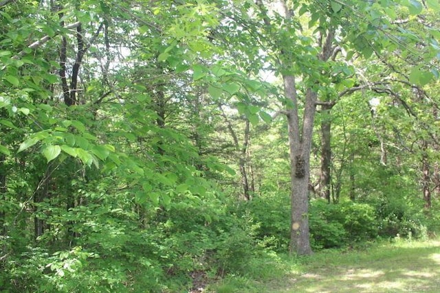 23197 Oakwood Cir, Hermitage, MO 65668 - view of wooded area