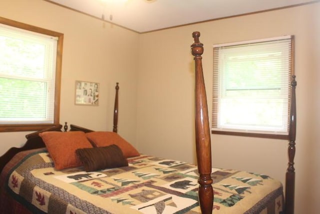 23197 Oakwood Cir, Hermitage, MO 65668 - bedroom featuring multiple windows