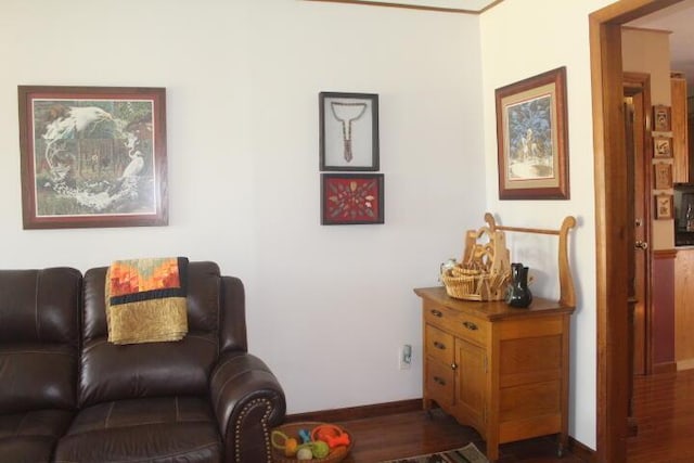 23197 Oakwood Cir, Hermitage, MO 65668 - living area featuring baseboards and wood finished floors