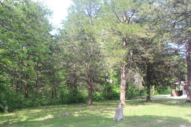 23197 Oakwood Cir, Hermitage, MO 65668 - view of grassy yard with a forest view