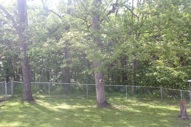 23197 Oakwood Cir, Hermitage, MO 65668 - view of yard