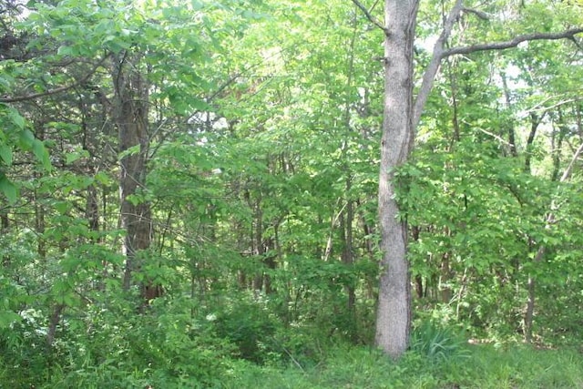 23197 Oakwood Cir, Hermitage, MO 65668 - view of tree filled area