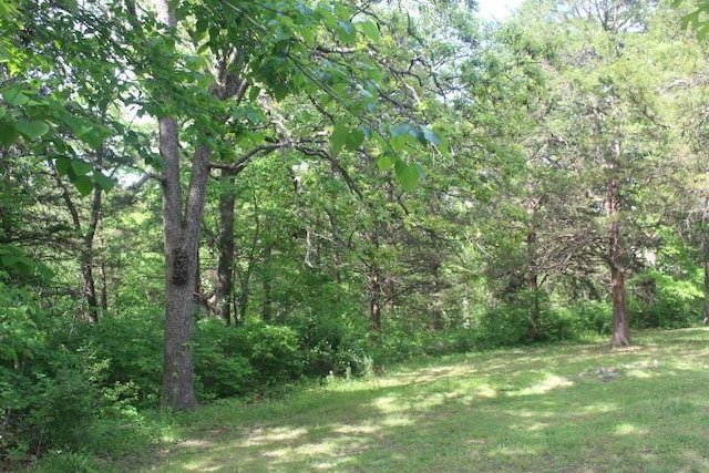 23197 Oakwood Cir, Hermitage, MO 65668 - view of wooded area