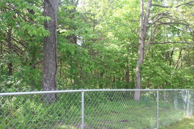 23197 Oakwood Cir, Hermitage, MO 65668 - view of yard featuring fence