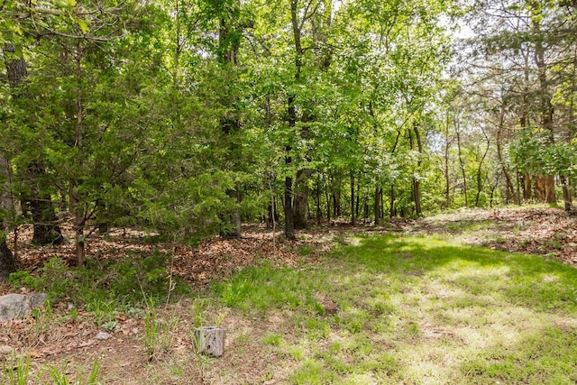 view of undeveloped land