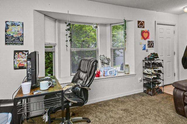 1292 Hillcrest Pl Unit A & B, Branson, MO 65616 - office featuring baseboards