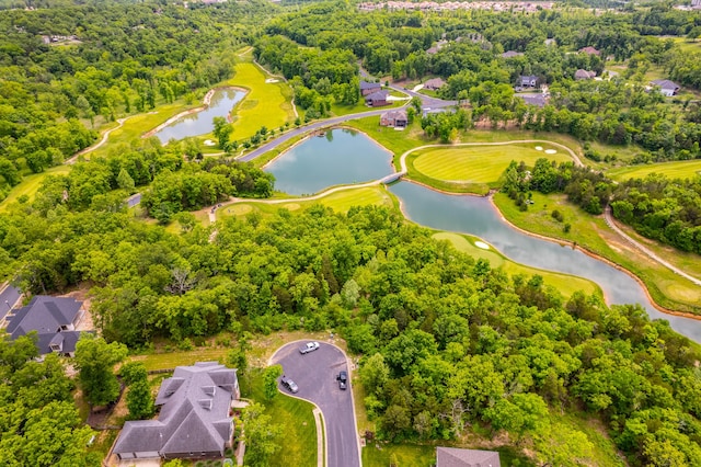 000 Beth Page Ct, Branson, MO 65616