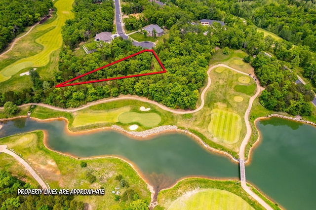 000 Beth Page Ct, Branson, MO 65616