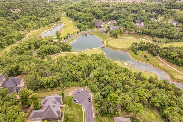 000 Beth Page Ct, Branson, MO 65616