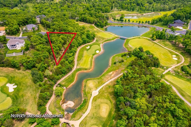 000 Beth Page Ct, Branson, MO 65616
