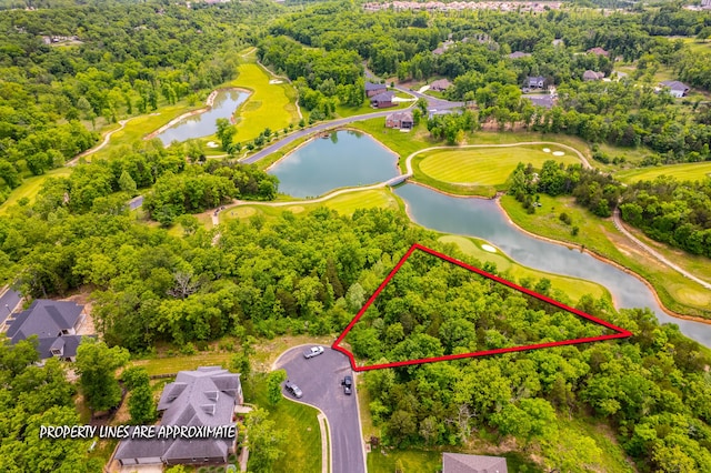 000 Beth Page Ct, Branson, MO 65616