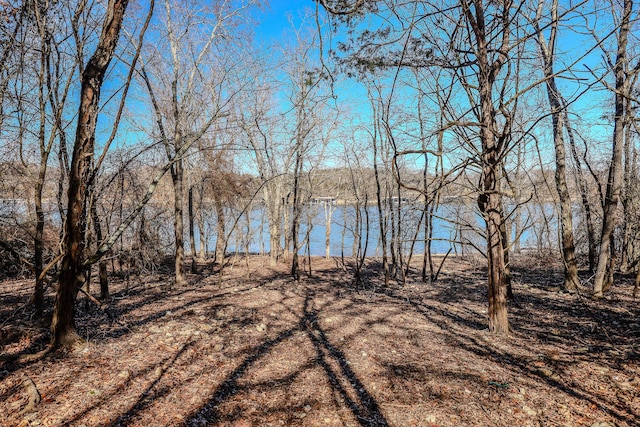 139 Cherokee Dr, Kimberling City, MO 65686 - water view