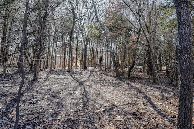 139 Cherokee Dr, Kimberling City, MO 65686 - view of woods