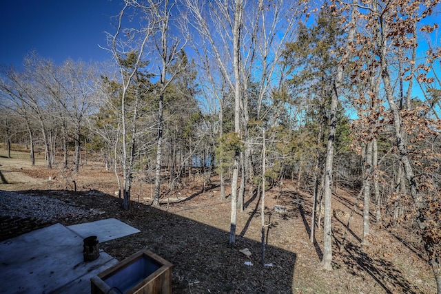 139 Cherokee Dr, Kimberling City, MO 65686 - view of yard